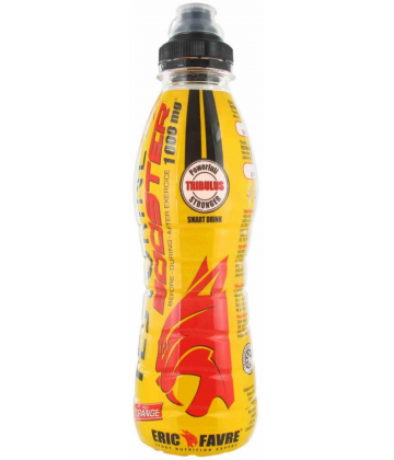Eric Favre Testorine Booster Saveur Orange 500 ml