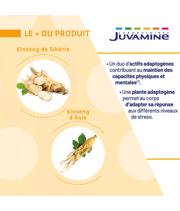 Juvamine Ginseng de Sibérie Ginseng d'Asie Comprimés x 30