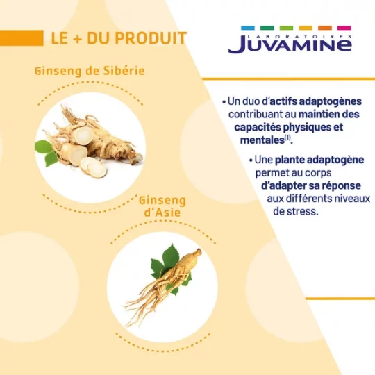 Juvamine Ginseng de Sibérie Ginseng d'Asie Comprimés x 30 - image 2