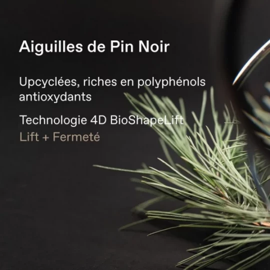 Korres Pin Noir Crème Rebond Raffermissante et Repulpante 40 ml - image 3