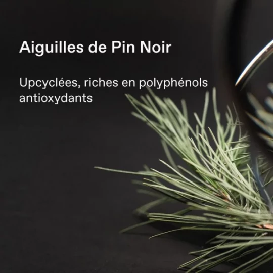 Korres Pin Noir Super Sérum Yeux Liftant 360° 15 ml - image 3