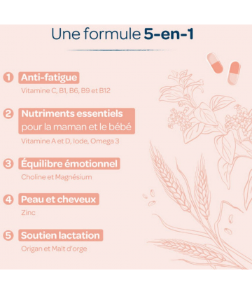 Calmosine Post Partum & Allaitement Gélules x 60