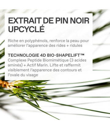 Korres Pin Noir Crème Rebond Raffermissante et Repulpante 40 ml + Sérum Rebond Liftant et Raffermissant 15 ml Offert