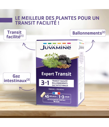 Juvamine Expert Transit 3 en 1 Gélules x 45
