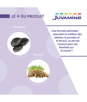 Juvamine Expert Transit 3 en 1 Gélules x 45