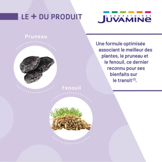 Juvamine Expert Transit 3 en 1 Gélules x 45 - image 3