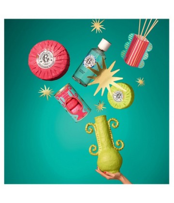 Roger&Gallet Coffret Eau parfumée bienfaisante Bois d'orange 100 ml + Diffuseur