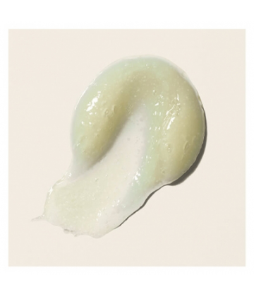 Boucleme Shampooing Exfoliant Scalp Exfoliating Shampoo Boucleme 250 ml