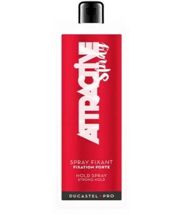 Ducastel Pro Spray Fixant Attractive Recharge 1 L