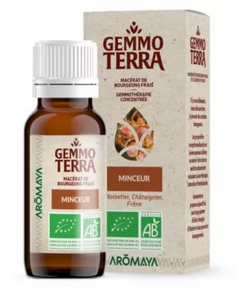 Gemmo Terra Macérat de Bourgeons Frais Minceur Bio 30 ml