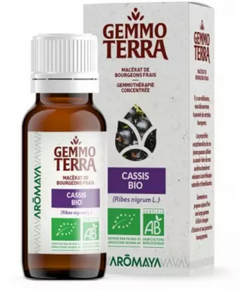 Gemmo Terra Macérat de Bourgeons Frais Cassis Bio 30 ml