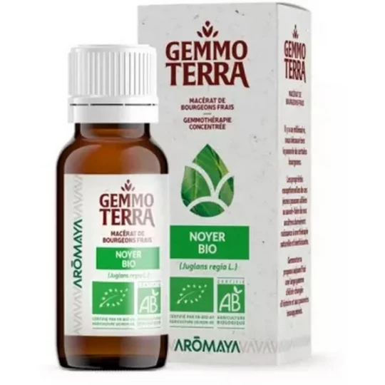 Gemmo Terra Macérat de Bourgeons Frais Noyer Bio 30 ml
