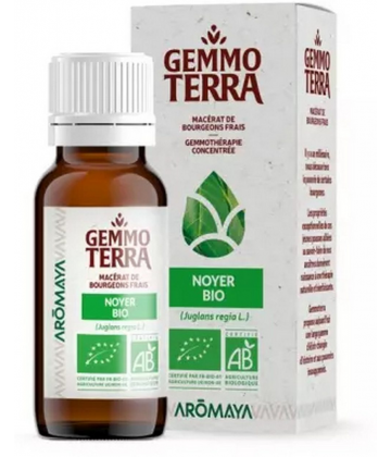Gemmo Terra Macérat de Bourgeons Frais Noyer Bio 30 ml