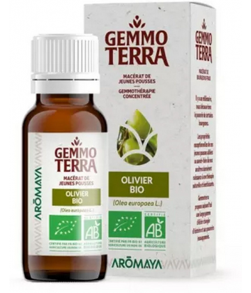 Gemmo Terra Macérat de Jeunes Pousses Olivier Bio 30 ml
