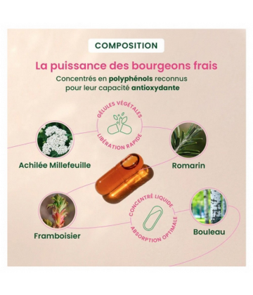 HerbalGem SPM & Confort Prémenstruel Bio Gélules x 30