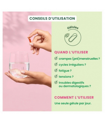 HerbalGem SPM & Confort Prémenstruel Bio Gélules x 30