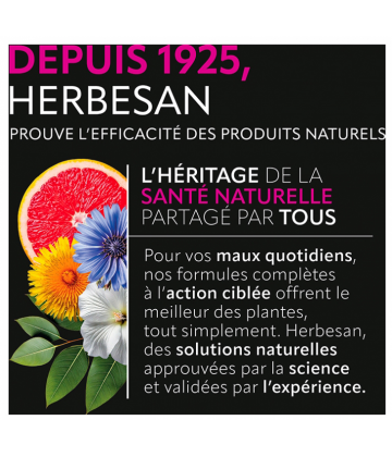 Herbesan ProBiotiques Flore Intestinale Gélules x 15