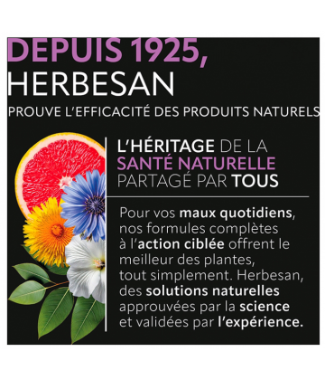 Herbesan Vision Santé des Yeux Comprimés x 60