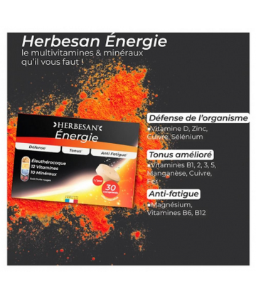 Herbesan Énergie Comprimés Effervescents x 30