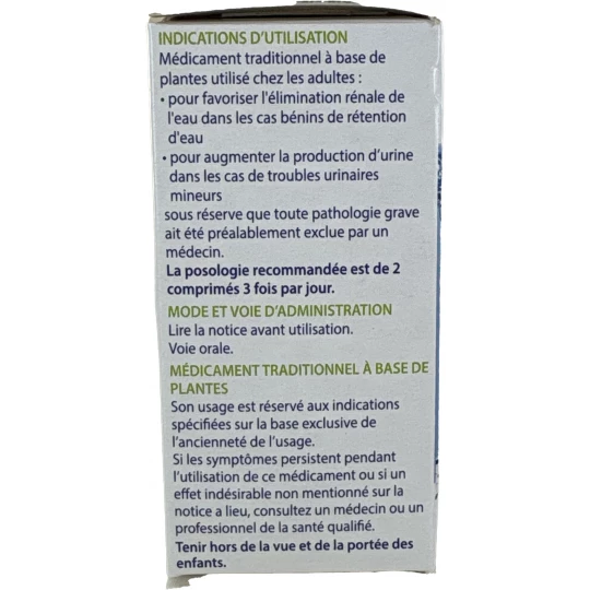 BOP Bouleau Olivier x 60