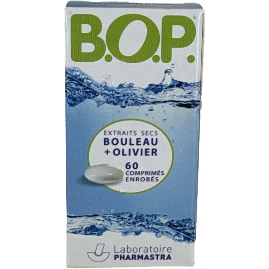 BOP Bouleau Olivier x 60