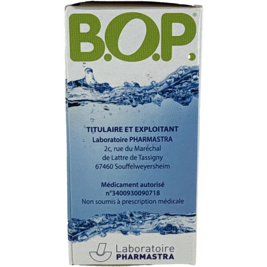 BOP Bouleau Olivier x 60 - image 4