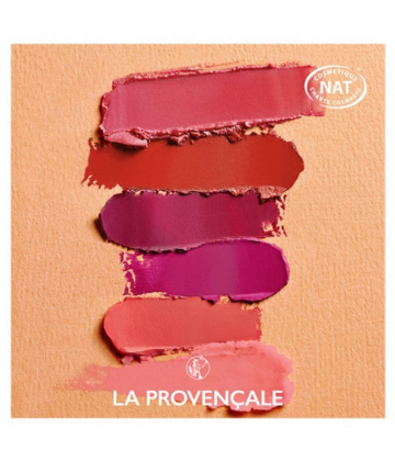 La Provençale Bio Rouge Fondant Rouge à Lèvres Teinte Bois de Rose Délicat 37 g