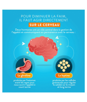 Nutri&Co Coupe-Faim Gélules x 60