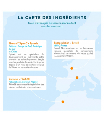 Nutri&Co Coupe-Faim Gélules x 60