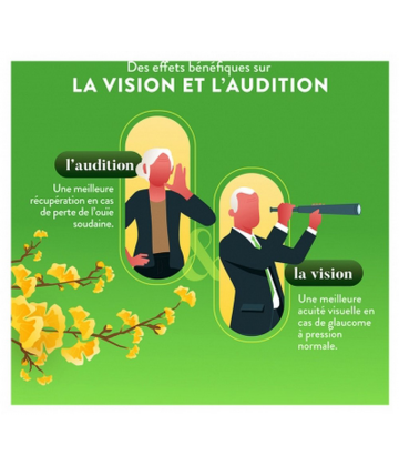 Nutri&Co Ginkgo Biloba Gélules x 120