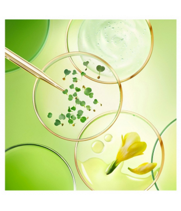 Nuxe Nuxuriance Ultra La Crème Riche Anti-Âge Global 50 ml