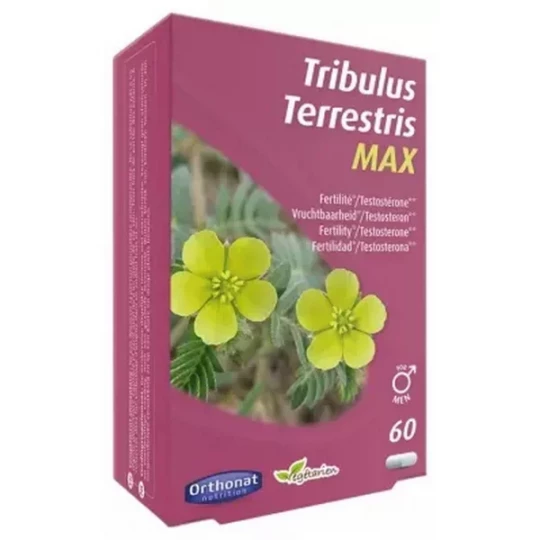 Orthonat Tribulus Terrestris Max Fertilité For Men Gélules x 60 - image 2