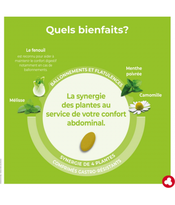 Ortis Colon Relax Forte Ballonnements Comprimés x 30 - image 5