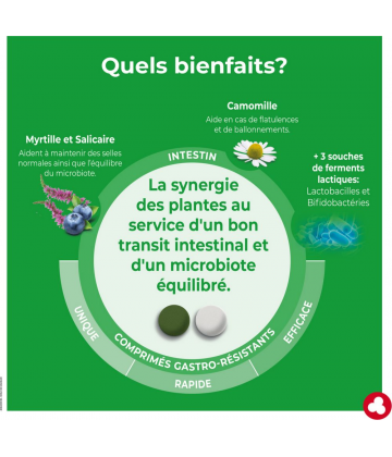 Ortis IntestiNorm Comprimés x 36 - image 5