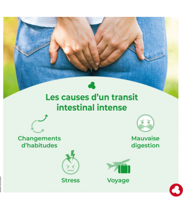 Ortis IntestiNorm Comprimés x 36 - image 4