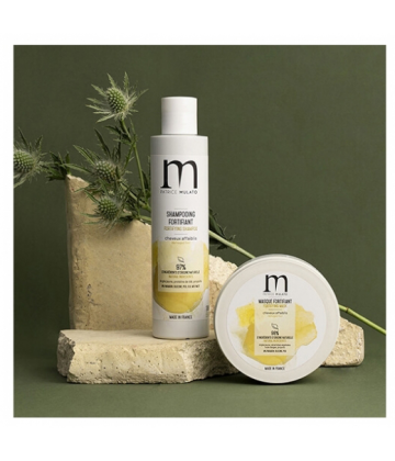 Patrice Mulato Shampooing Fortifiant Cheveux Affaiblis Argila 200 ml