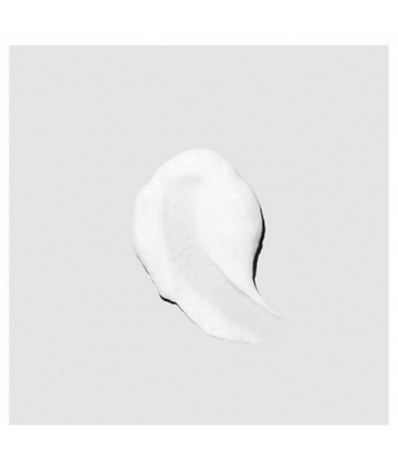 Paul Mitchell Après-Shampooing Hydratant Clean Beauty 250 ml