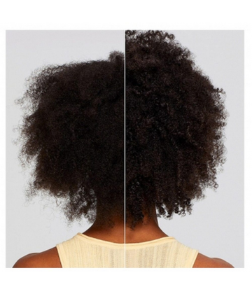 Paul Mitchell Après-Shampooing Quotidien Everyday Clean Beauty 250 ml