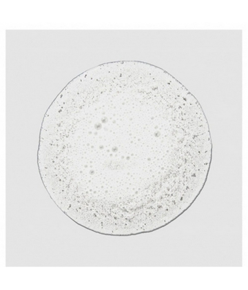 Paul Mitchell Shampooing Baby Don-t Cry Kids 300 ml