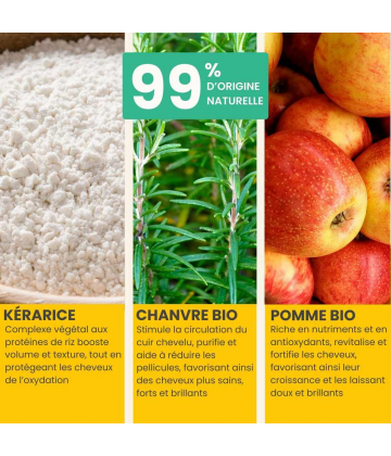 Pulpe de Vie Masque Capillaire Fortifiant et Démêlant Chanvre et Romarin 3 en 1 Bio 300 ml - image 3