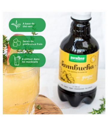 Purasana Kombucha Saveur Gingembre Bio 330 ml
