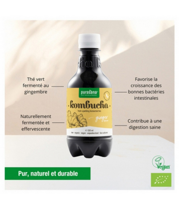 Purasana Kombucha Saveur Gingembre Bio 330 ml