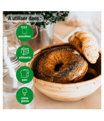 Purasana Super Food Poudre de Psyllium Bio 200 g