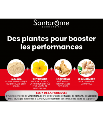 Santarome Maca 1500 Tribulus Ginseng Gingembre Comprimés x 30