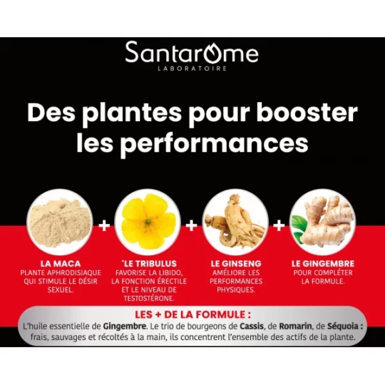 Santarome Maca 1500 Tribulus Ginseng Gingembre Comprimés x 30 - image 4