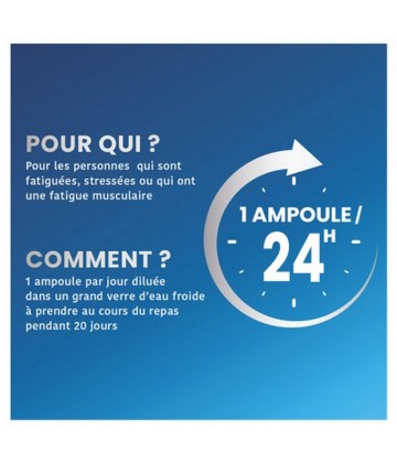 Santarome Magné Marin 360 Extra Fort Ampoules x 20