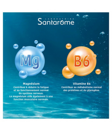 Santarome Magné Marin 360 Extra Fort Ampoules x 20