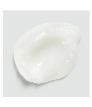 Sebastian Conditionneur Léger Dark Oil 250 ml