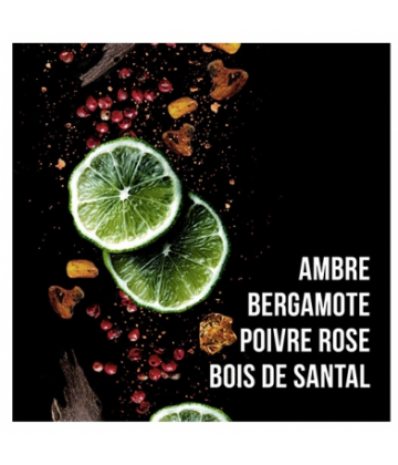 Sebastian Gel The Hero Seb Man 75 ml