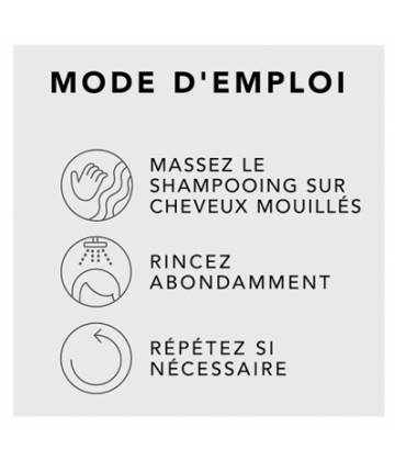 Sebastian Shampooing Léger Dark Oil 250 ml